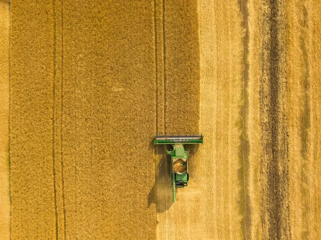 trabajo de campo