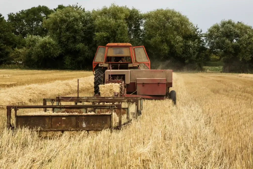 trabajo agricola